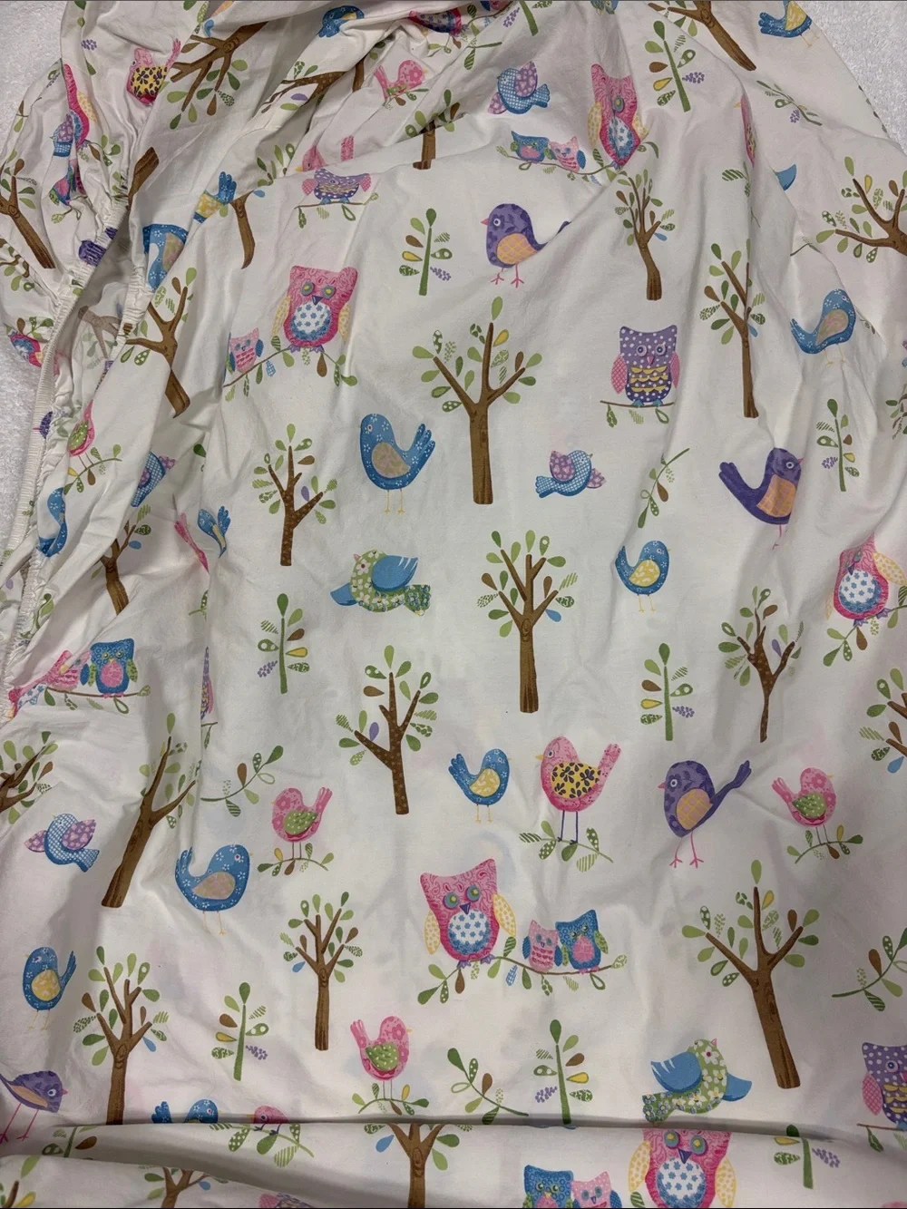 Pottery Barn Kids Hayley Owl Trees Birds Organic twin fitted Sheet Retired 12’